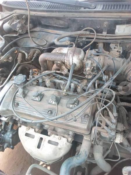 Big with watermark 51685648 853533948321725 709796684862849024 n