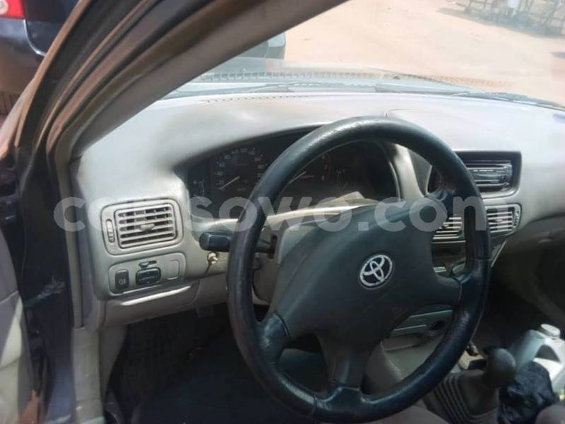 Big with watermark 51562124 853533901655063 3610099490381365248 n