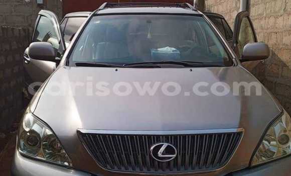 Sayi Na hannu Lexus RX 330 Sauran Mota in Athieme a Mono Sayi Na hannu Lexus RX 330 Sauran Mota in Athieme a Mono