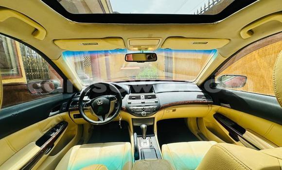 Ra Àlòkù Honda Crosstour Red Ọkọ̀ in Cotonou ni Benin Ra Àlòkù Honda Crosstour Red Ọkọ̀ in Cotonou ni Benin