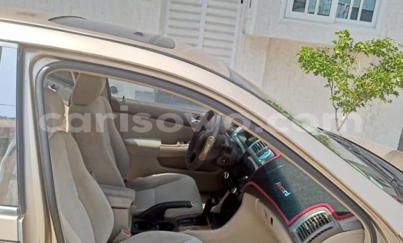 Acheter Occasion Voiture Honda Accord Gris à Cotonou, Benin Acheter Occasion Voiture Honda Accord Gris à Cotonou, Benin
