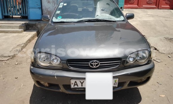 Buy Used Toyota Corolla Brown Car in Cotonou in Benign