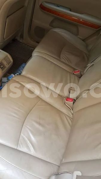 Big with watermark 52071417 170963977206432 2493988312222531584 n