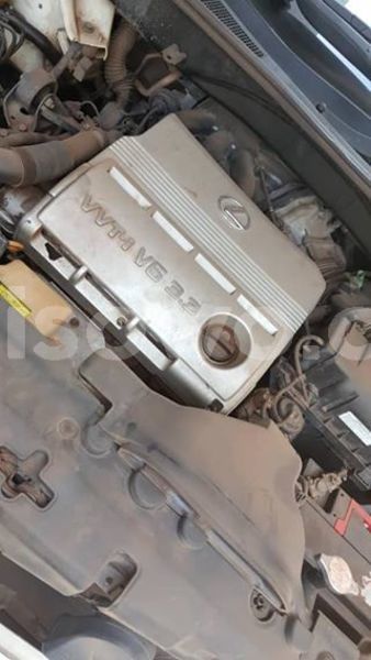 Big with watermark 52353308 170963997206430 5685258367312855040 n