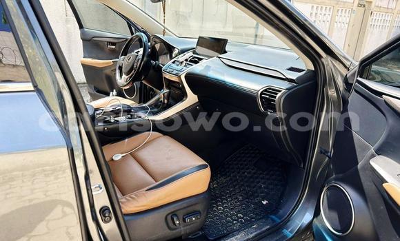 Sayi Na hannu Lexus NX Azurfa Mota in Cotonou a Benin Sayi Na hannu Lexus NX Azurfa Mota in Cotonou a Benin