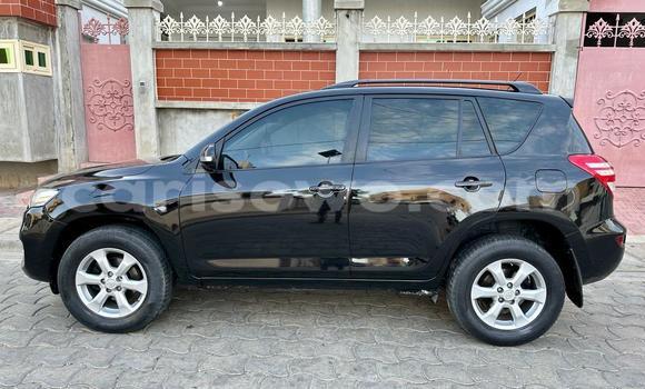 Acheter Occasion Voiture Toyota RAV4 Noir à Cotonou, Benin Acheter Occasion Voiture Toyota RAV4 Noir à Cotonou, Benin
