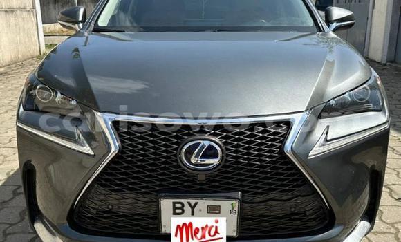 Acheter Occasion Voiture Lexus NX Gris à Cotonou, Benin