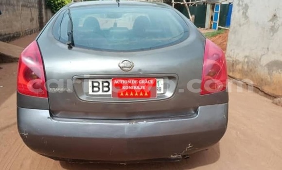 Acheter Occasion Voiture Nissan Almera Autre à Cotonou, Benin Acheter Occasion Voiture Nissan Almera Autre à Cotonou, Benin