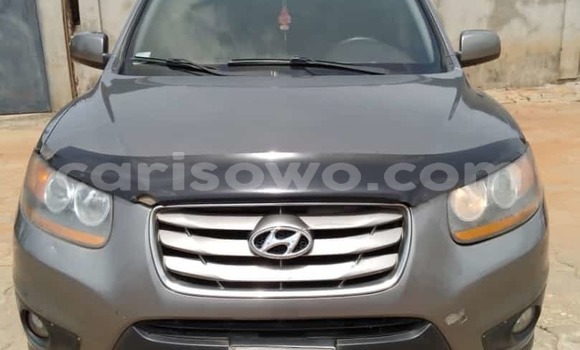 Acheter Occasion Voiture Hyundai Santa Fe Gris à Cotonou, Benin
