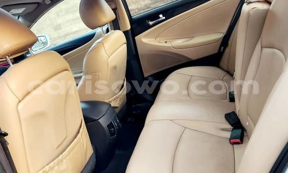 Sayi Na hannu Hyundai Sonata White Mota in Cotonou a Benin Sayi Na hannu Hyundai Sonata White Mota in Cotonou a Benin