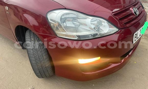 Ra Àlòkù Toyota Avensis Verso Red Ọkọ̀ in Cotonou ni Benin Ra Àlòkù Toyota Avensis Verso Red Ọkọ̀ in Cotonou ni Benin
