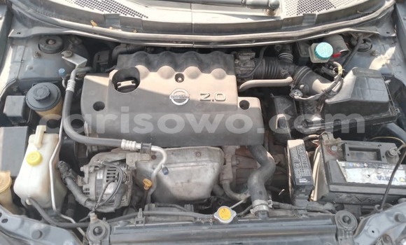 Ra Àlòkù Nissan Primera Alagara Ọkọ̀ in Cotonou ni Benin
