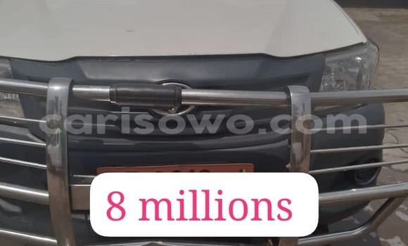 Sayi Na hannu Toyota Hilux White Mota in Cotonou a Benin
