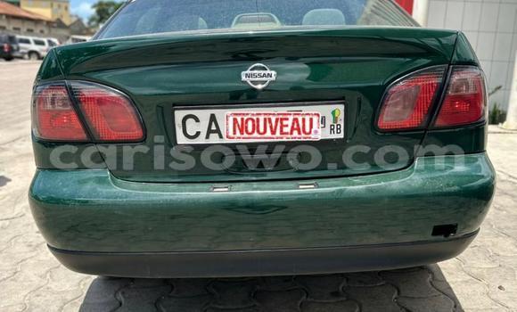 Ra Àlòkù Nissan Primera Alawọ ewe Ọkọ̀ in Cotonou ni Benin