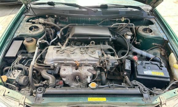 Ra Àlòkù Nissan Primera Alawọ ewe Ọkọ̀ in Cotonou ni Benin Ra Àlòkù Nissan Primera Alawọ ewe Ọkọ̀ in Cotonou ni Benin