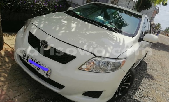 Sayi Na hannu Toyota Corolla White Mota in Cotonou a Benin