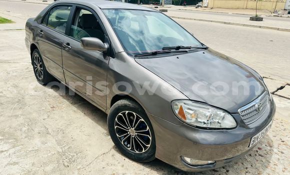 Ra Àlòkù Toyota Corolla Brown Ọkọ̀ in Cotonou ni Benin Ra Àlòkù Toyota Corolla Brown Ọkọ̀ in Cotonou ni Benin
