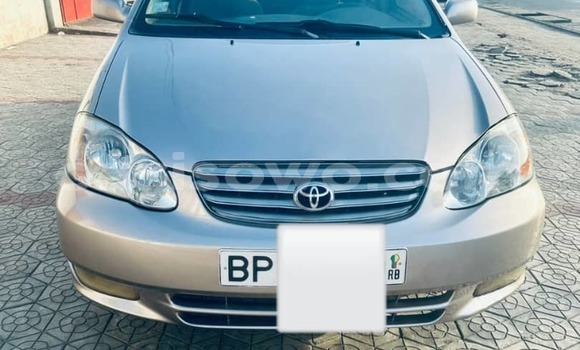 Buy Used Toyota Corolla Silver Car in Cotonou in Benign