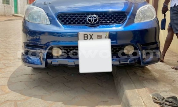 Acheter Occasion Voiture Toyota Matrix Bleu à Cotonou, Benin Acheter Occasion Voiture Toyota Matrix Bleu à Cotonou, Benin