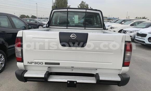 Buy New Nissan Pickup White Car in Cotonou in Benign Buy New Nissan Pickup White Car in Cotonou in Benign