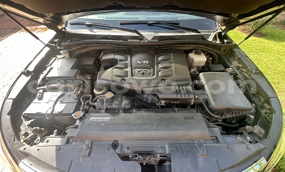 Buy New Infiniti QX80 Black Car in Cotonou in Benign Buy New Infiniti QX80 Black Car in Cotonou in Benign