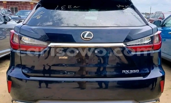 レクサス M'z SPEED SAITAMA | NEW CAR COMPLETE CAR | LEXUS / レクサス