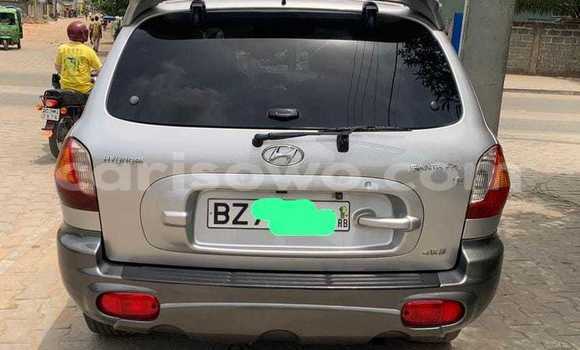 Acheter Occasion Voiture Hyundai Santa Fe Gris à Cotonou, Benin