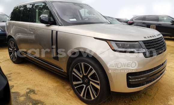 Sayi Na hannu Land Rover Range Rover Vogue Brown Mota in Cotonou a Benin Sayi Na hannu Land Rover Range Rover Vogue Brown Mota in Cotonou a Benin