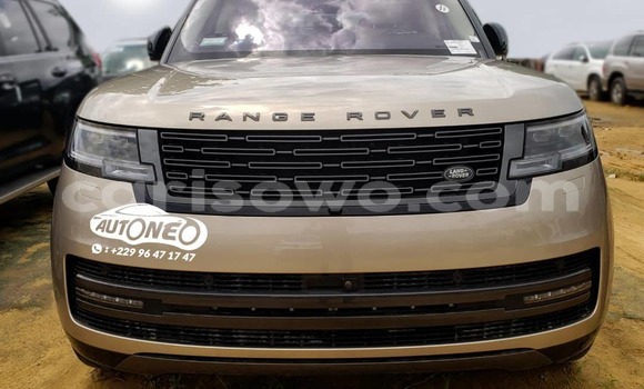 Sayi Na hannu Land Rover Range Rover Vogue Brown Mota in Cotonou a Benin Sayi Na hannu Land Rover Range Rover Vogue Brown Mota in Cotonou a Benin