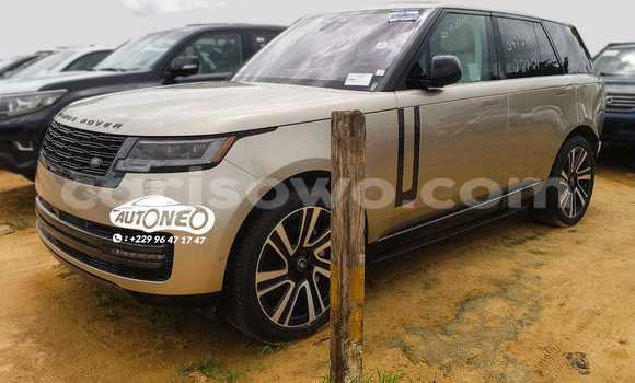 Sayi Na hannu Land Rover Range Rover Vogue Brown Mota in Cotonou a Benin Sayi Na hannu Land Rover Range Rover Vogue Brown Mota in Cotonou a Benin