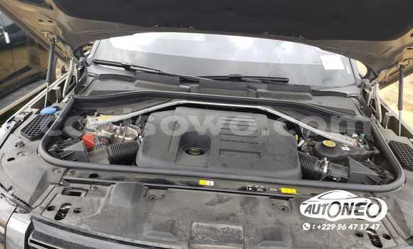Sayi Na hannu Land Rover Range Rover Vogue Brown Mota in Cotonou a Benin Sayi Na hannu Land Rover Range Rover Vogue Brown Mota in Cotonou a Benin