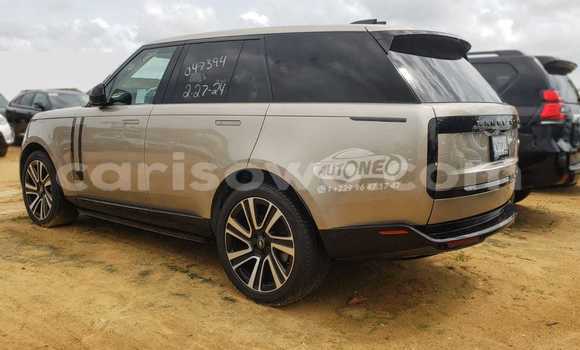 Sayi Na hannu Land Rover Range Rover Vogue Brown Mota in Cotonou a Benin Sayi Na hannu Land Rover Range Rover Vogue Brown Mota in Cotonou a Benin