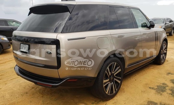 Sayi Na hannu Land Rover Range Rover Vogue Brown Mota in Cotonou a Benin Sayi Na hannu Land Rover Range Rover Vogue Brown Mota in Cotonou a Benin