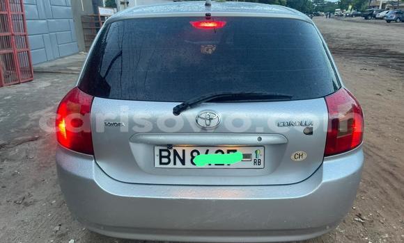 Buy Used Toyota Corolla Silver Car in Cotonou in Benign