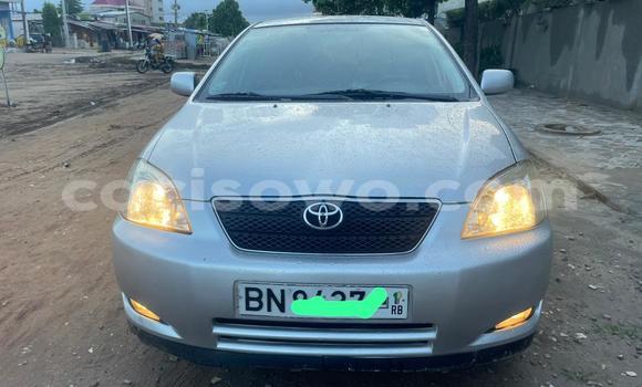 Ra Àlòkù Toyota Corolla Silver Ọkọ̀ in Cotonou ni Benin Ra Àlòkù Toyota Corolla Silver Ọkọ̀ in Cotonou ni Benin