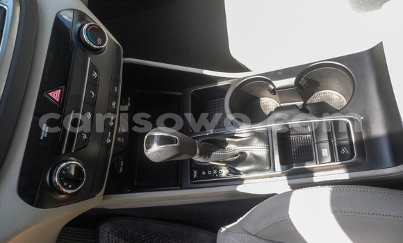 Acheter Occasion Voiture Hyundai Tucson Gris à Cotonou, Benin Acheter Occasion Voiture Hyundai Tucson Gris à Cotonou, Benin