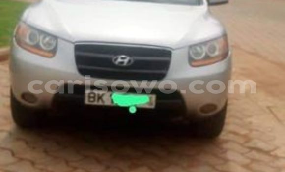 Sayi Na hannu Hyundai Santa Fe Sauran Mota in Cotonou a Benin