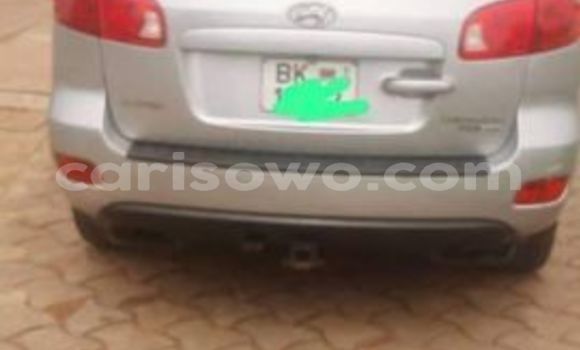 Acheter Occasion Voiture Hyundai Santa Fe Autre à Cotonou, Benin Acheter Occasion Voiture Hyundai Santa Fe Autre à Cotonou, Benin