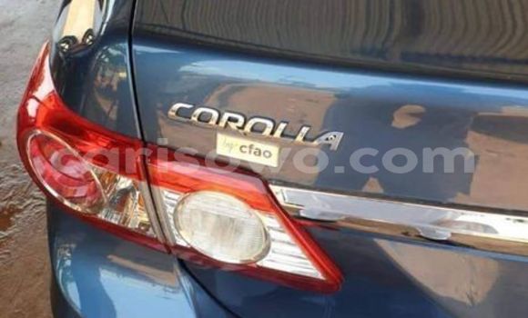 Acheter Occasion Voiture Toyota Corolla Bleu à Cotonou, Benin Acheter Occasion Voiture Toyota Corolla Bleu à Cotonou, Benin