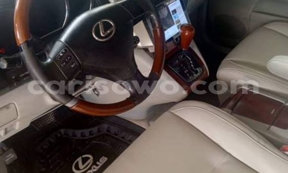 Acheter Occasion Voiture Lexus RX 330 Gris à Cotonou, Benin