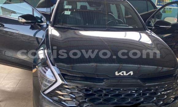 Buy Used Kia Sportage Black Car in Cotonou in Benign