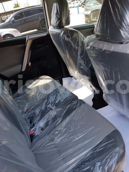 Big with watermark 20190309 111114