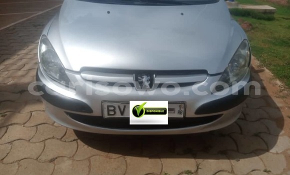 Acheter Occasion Voiture Peugeot 307 Gris à Cotonou, Benin
