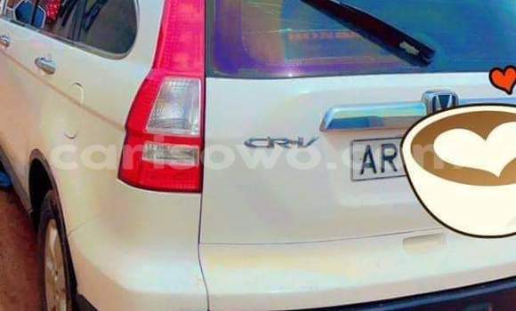 Sayi Na hannu Honda CR–V Sauran Mota in Abomey Calavi a Benin