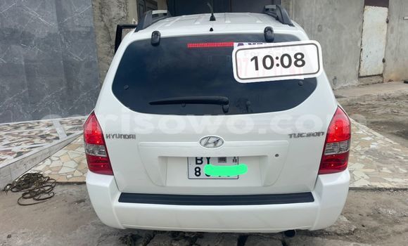Acheter Occasion Voiture Hyundai Tucson Blanc à Cotonou, Benin Acheter Occasion Voiture Hyundai Tucson Blanc à Cotonou, Benin
