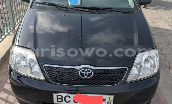 Sayi Na hannu Toyota Corolla Black Mota in Cotonou a Benin Sayi Na hannu Toyota Corolla Black Mota in Cotonou a Benin