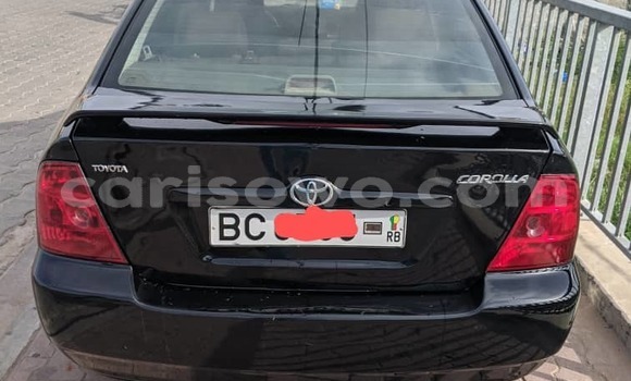 Ra Àlòkù Toyota Corolla Black Ọkọ̀ in Cotonou ni Benin Ra Àlòkù Toyota Corolla Black Ọkọ̀ in Cotonou ni Benin