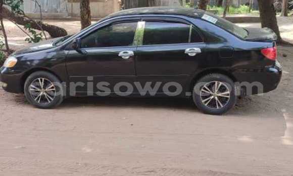 Acheter Occasion Voiture Toyota Corolla Noir à Aplahoue, Couffo Acheter Occasion Voiture Toyota Corolla Noir à Aplahoue, Couffo