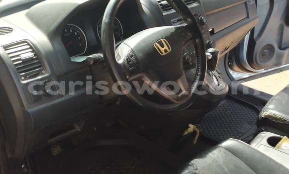 Buy Used Honda CR–V Other Car in Athieme in Mono Buy Used Honda CR–V Other Car in Athieme in Mono