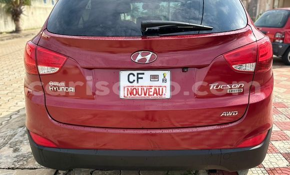 Acheter Occasion Voiture Hyundai Tucson Rouge à Cotonou, Benin Acheter Occasion Voiture Hyundai Tucson Rouge à Cotonou, Benin